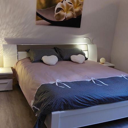 Gite "Le Piemont Des Vosges " 斯特哲兹 外观 照片