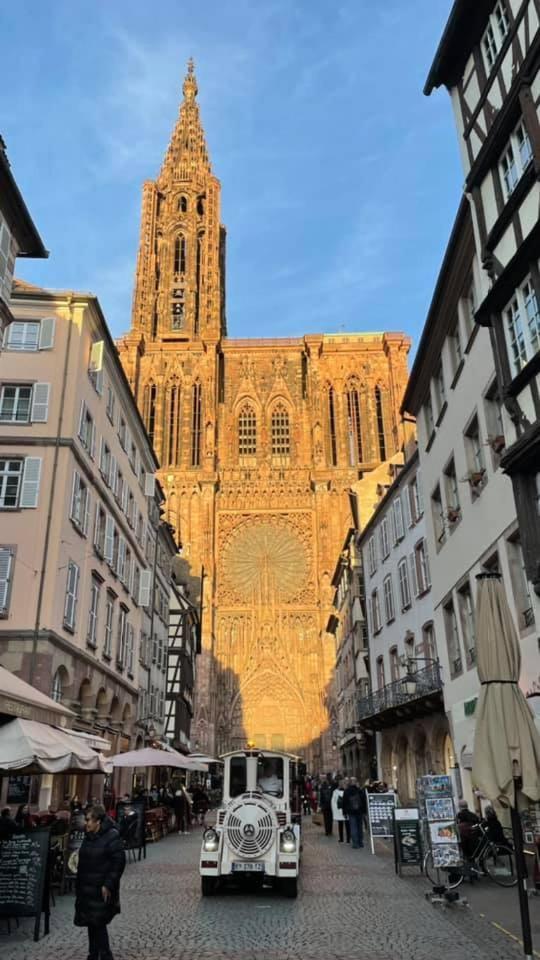 Gite "Le Piemont Des Vosges " 斯特哲兹 外观 照片