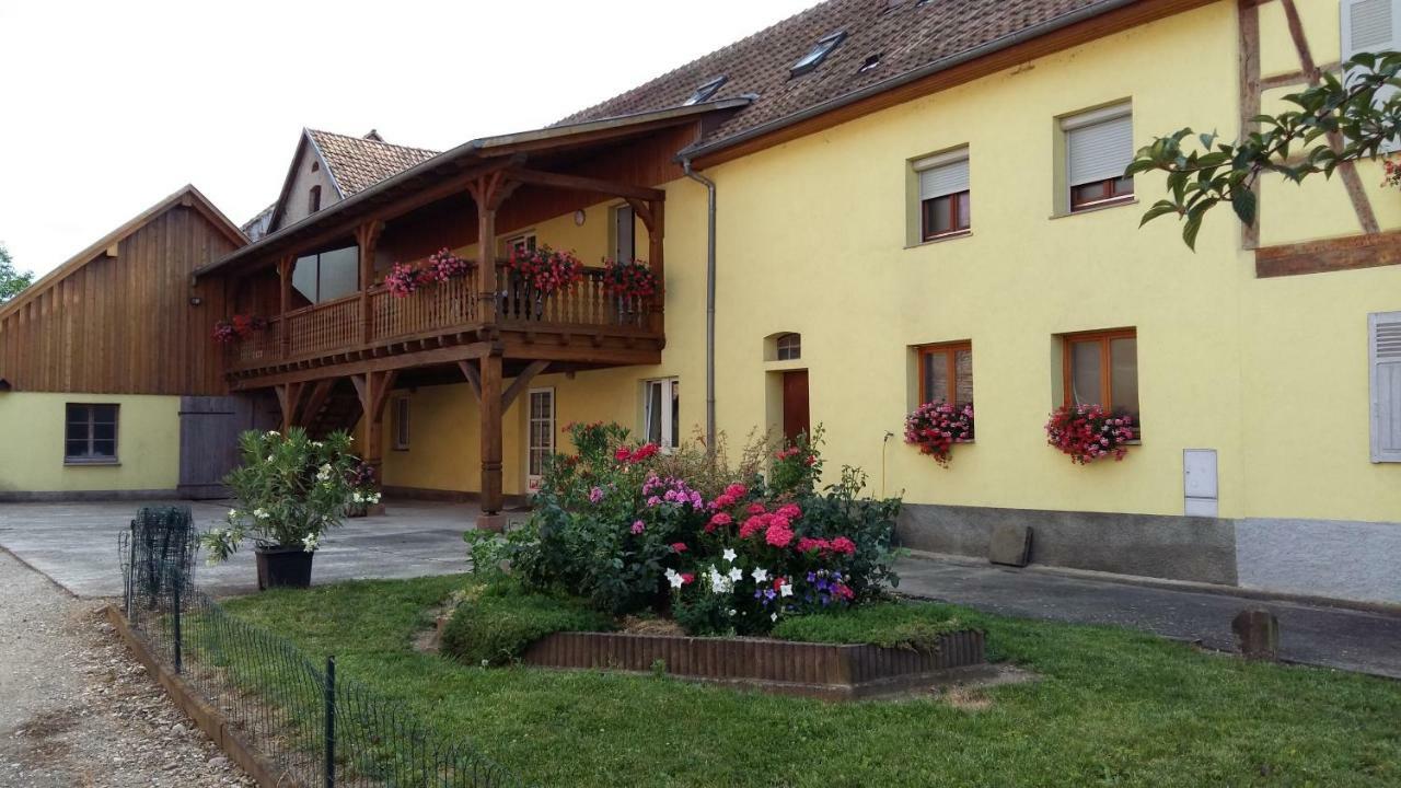 Gite "Le Piemont Des Vosges " 斯特哲兹 外观 照片